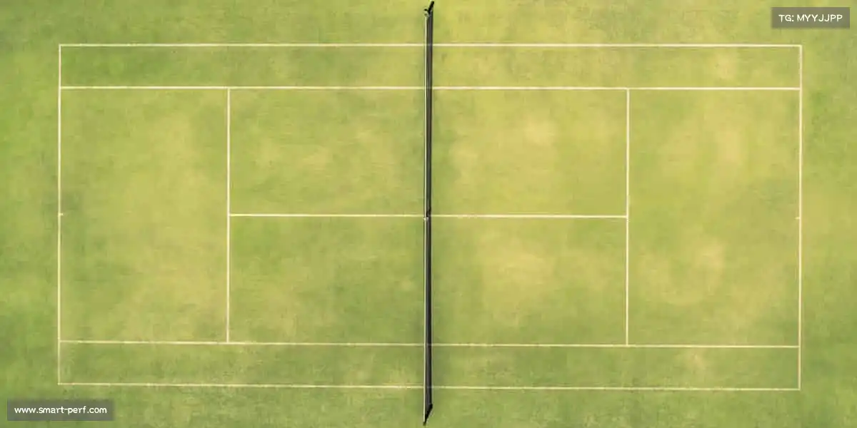 <strong>DB视讯</strong>🏊‍♀️纵身一跃，拥抱自由 —— 水里的每一个划动，都是对生活的热爱！